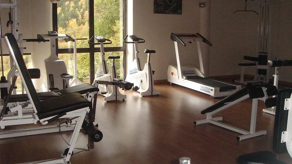 Hotel & Spa Bringue Ордино Андорра